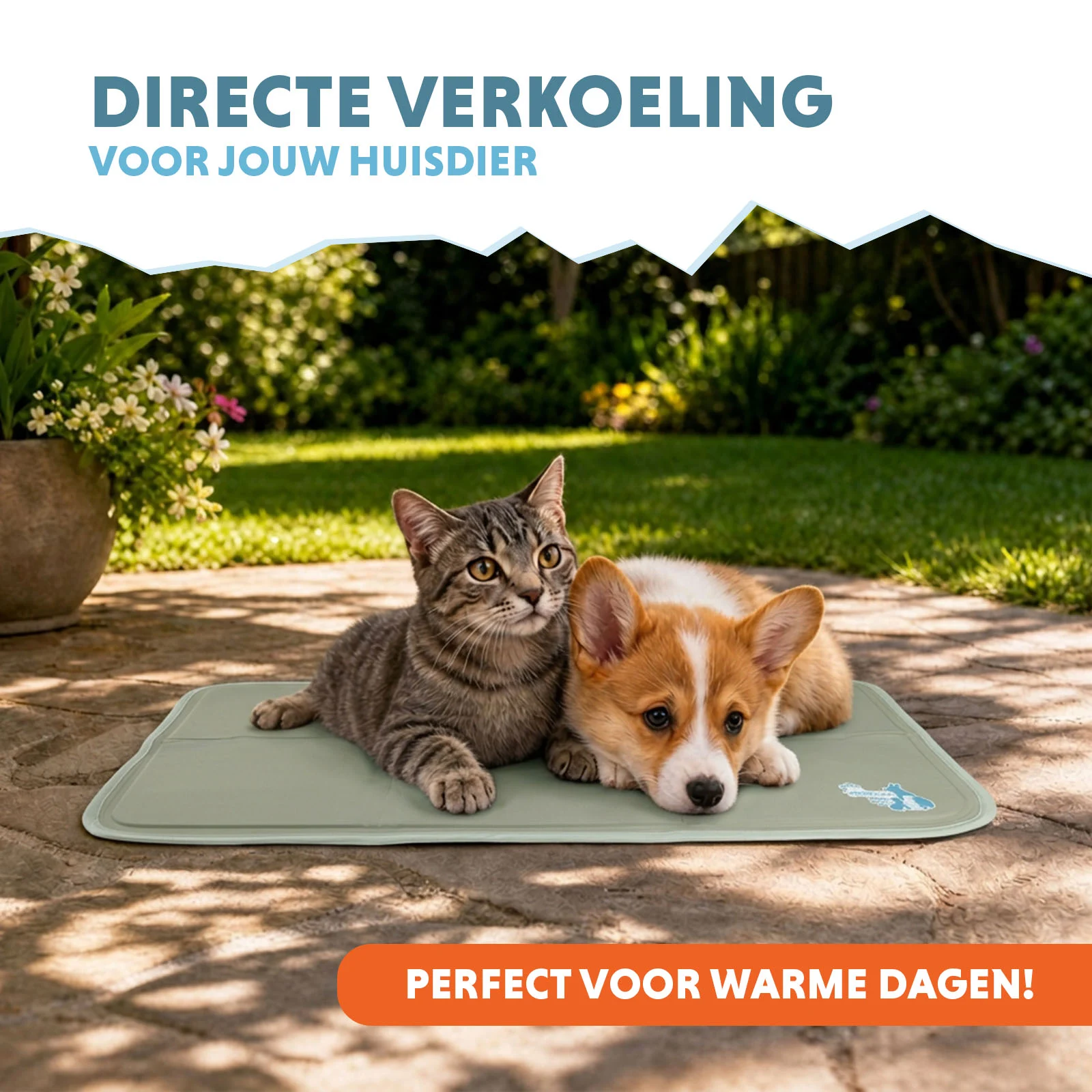 Tappetino rinfrescante per cani con gel solido, verde oliva, S 50 x 40 cm – Coolpets Gel Cooling Mat - immagine 2