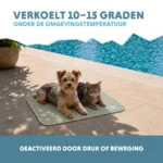 Tappetino rinfrescante per cani con gel solido, verde oliva, S 50 x 40 cm – Coolpets Gel Cooling Mat - immagine 4