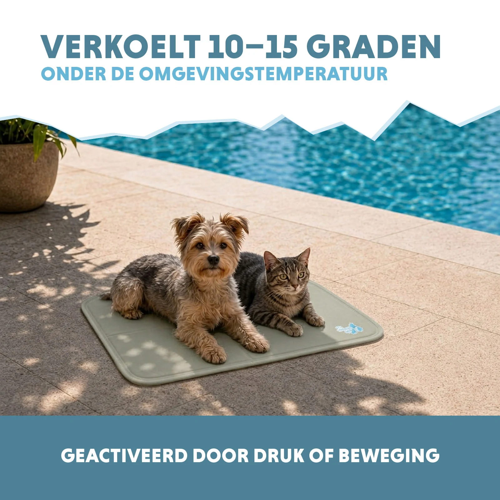 Tappetino rinfrescante per cani con gel solido, verde oliva, S 50 x 40 cm – Coolpets Gel Cooling Mat - immagine 4