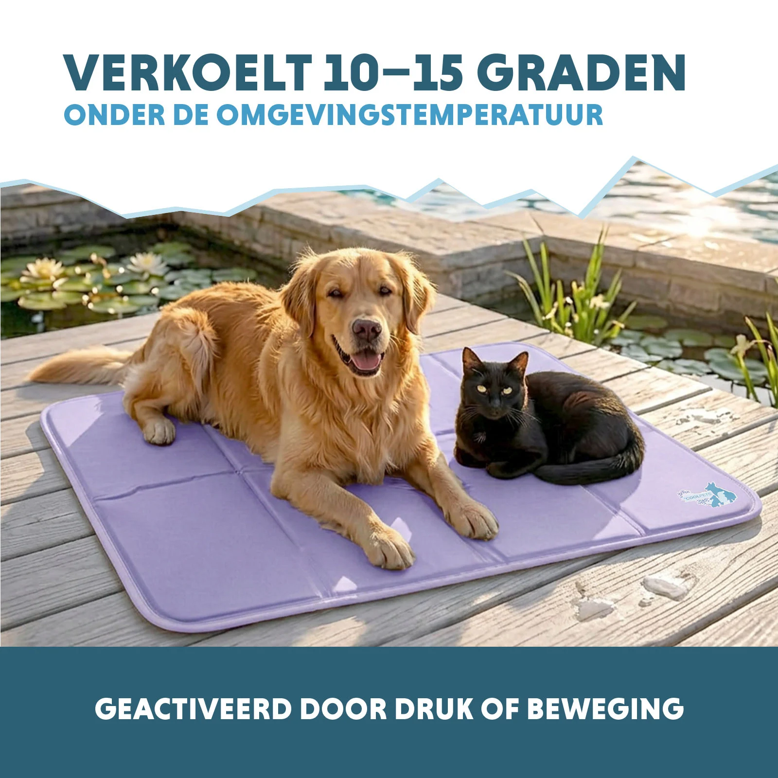 Tappetino rinfrescante per cani con gel solido, lilla, XL 120 x 70 cm – Coolpets Gel Cooling Mat - immagine 4