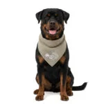 Bandana rinfrescante per cani, beige, L, 85 x 40 cm – Coolpets Cooling Bandana