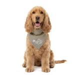 Bandana rinfrescante per cani, beige, M, 65 x 30 cm – Coolpets Cooling Bandana