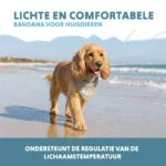 Bandana rinfrescante per cani, beige, M, 65 x 30 cm – Coolpets Cooling Bandana - immagine 4