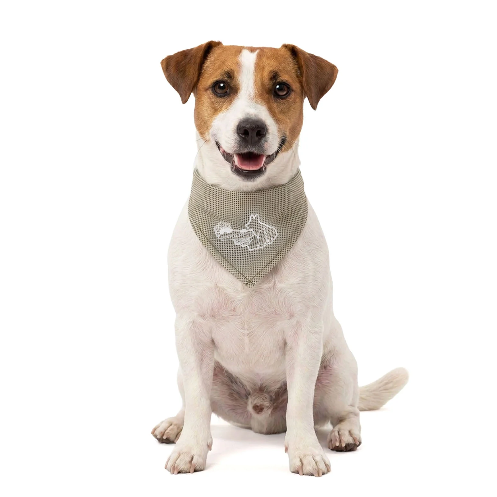 COOL030S_00.jpg Bandana rinfrescante per cani, beige, S, 45 x 20 cm – Coolpets Cooling Bandana - immagine 1