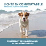 Bandana rinfrescante per cani, beige, S, 45 x 20 cm – Coolpets Cooling Bandana - immagine 4