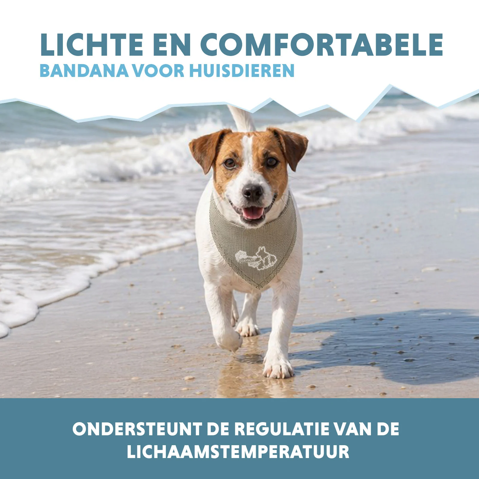 Bandana rinfrescante per cani, beige, S, 45 x 20 cm – Coolpets Cooling Bandana - immagine 4