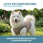 Giubbotto refrigerante per cani, attivabile con acqua, L, lunghezza del dorso 35 cm – Coolpets Cooling Vest - immagine 4