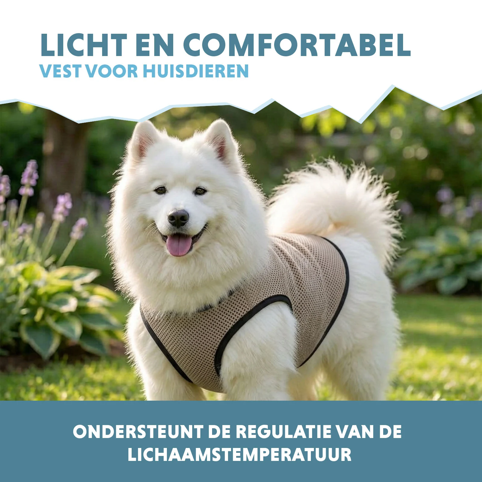 Giubbotto refrigerante per cani, attivabile con acqua, L, lunghezza del dorso 35 cm – Coolpets Cooling Vest - immagine 4