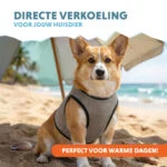 Gilet rinfrescante per cani attivabile con acqua, M, lunghezza del dorso 30 cm – Coolpets Cooling Vest - immagine 2