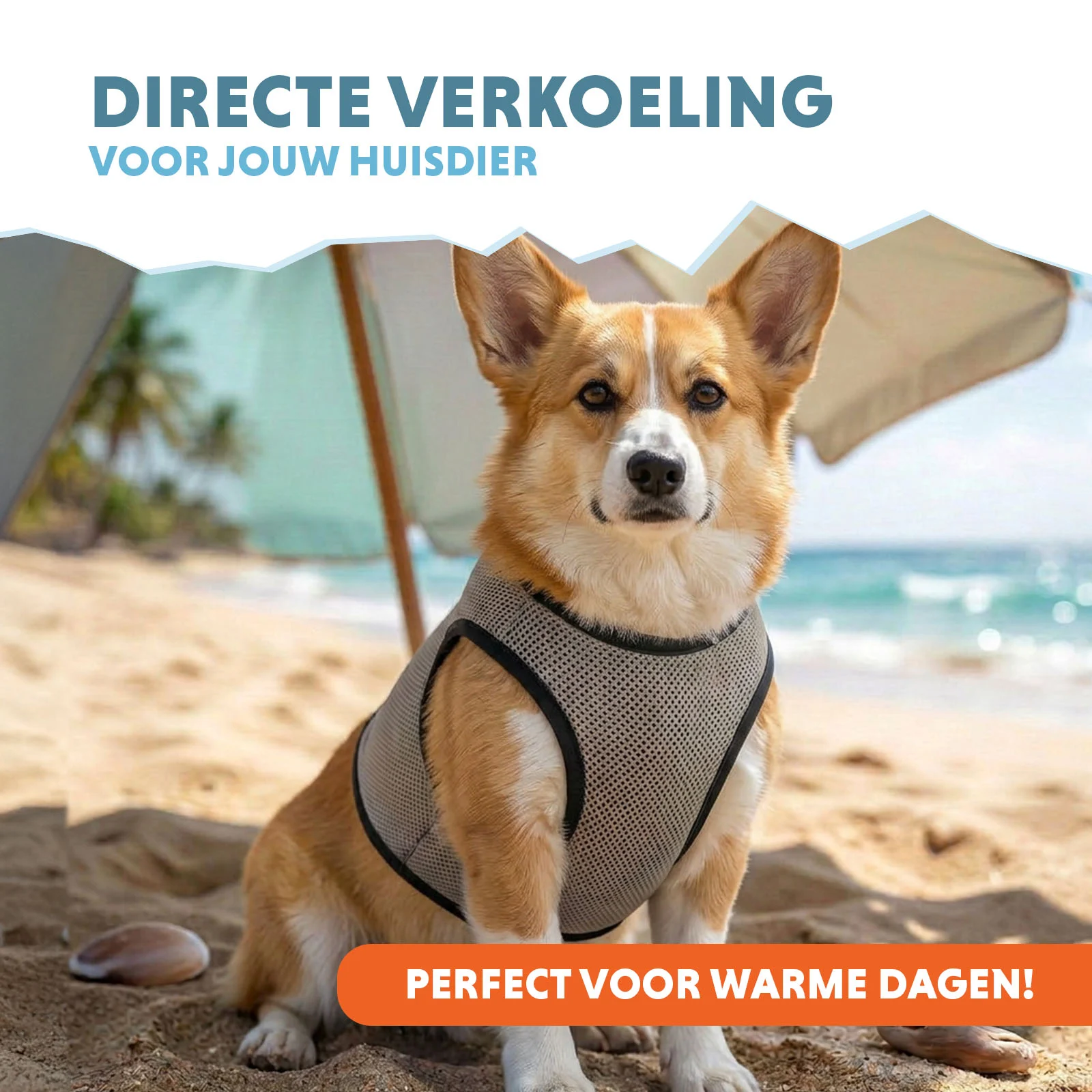 Gilet rinfrescante per cani attivabile con acqua, M, lunghezza del dorso 30 cm – Coolpets Cooling Vest - immagine 2