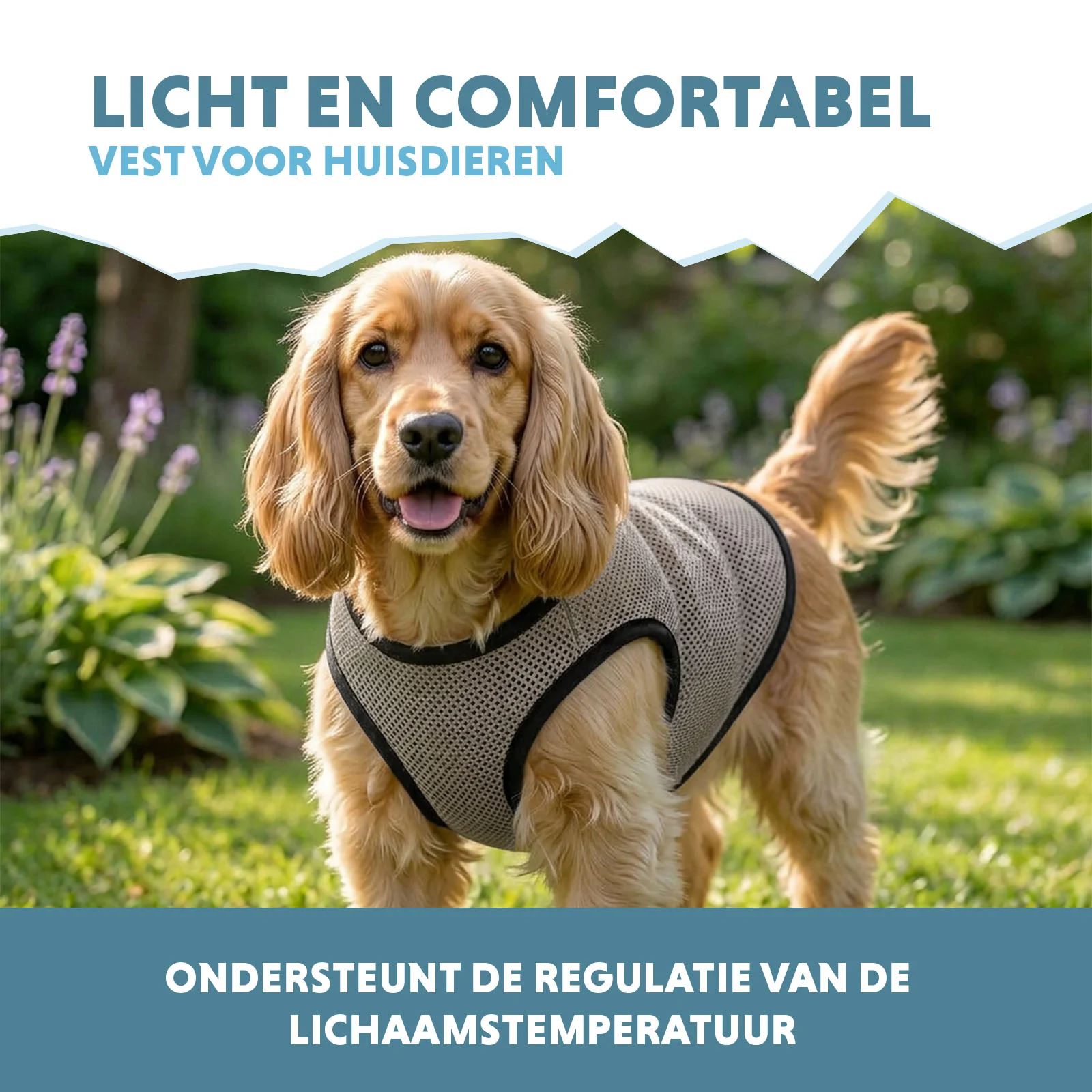 Gilet rinfrescante per cani attivabile con acqua, M, lunghezza del dorso 30 cm – Coolpets Cooling Vest - immagine 4