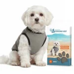 Giubbotto refrigerante per cani, attivabile con acqua, S, lunghezza del dorso 25 cm – Coolpets Cooling Vest