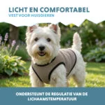 Giubbotto refrigerante per cani, attivabile con acqua, S, lunghezza del dorso 25 cm – Coolpets Cooling Vest - immagine 4