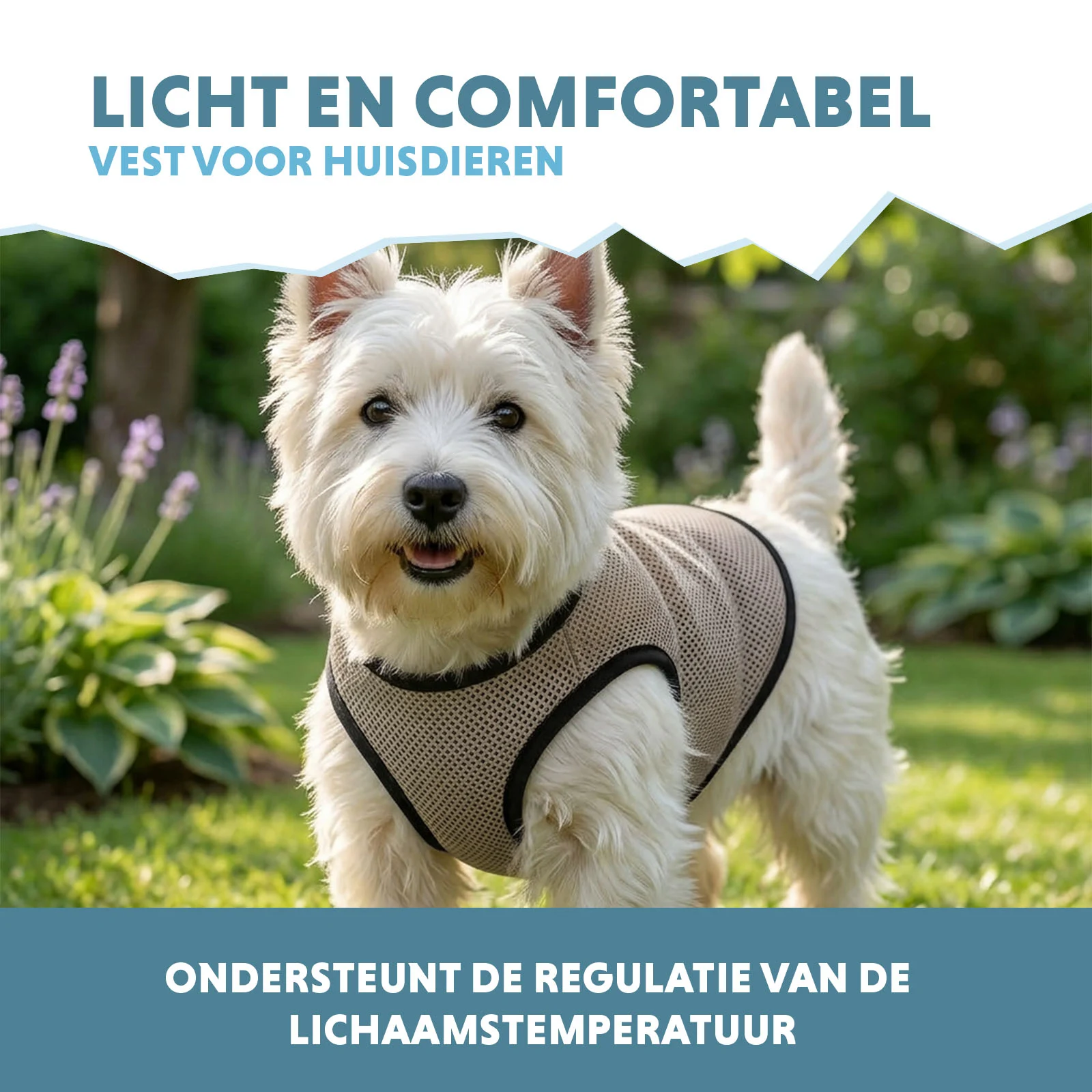 Giubbotto refrigerante per cani, attivabile con acqua, S, lunghezza del dorso 25 cm – Coolpets Cooling Vest - immagine 4