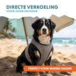 Giubbotto refrigerante per cani, attivabile con acqua, XL, lunghezza del dorso 40 cm – Coolpets Cooling Vest - immagine 2