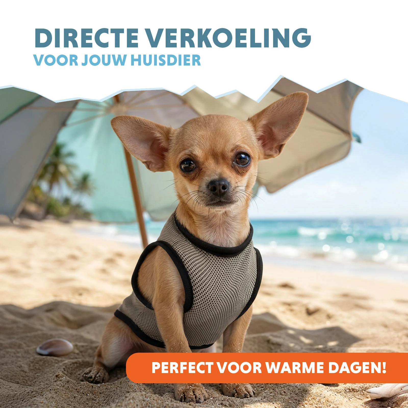 Giubbotto rinfrescante per cani, ad attivazione con acqua, XS, lunghezza del dorso 20 cm – Coolpets Cooling Vest - immagine 2