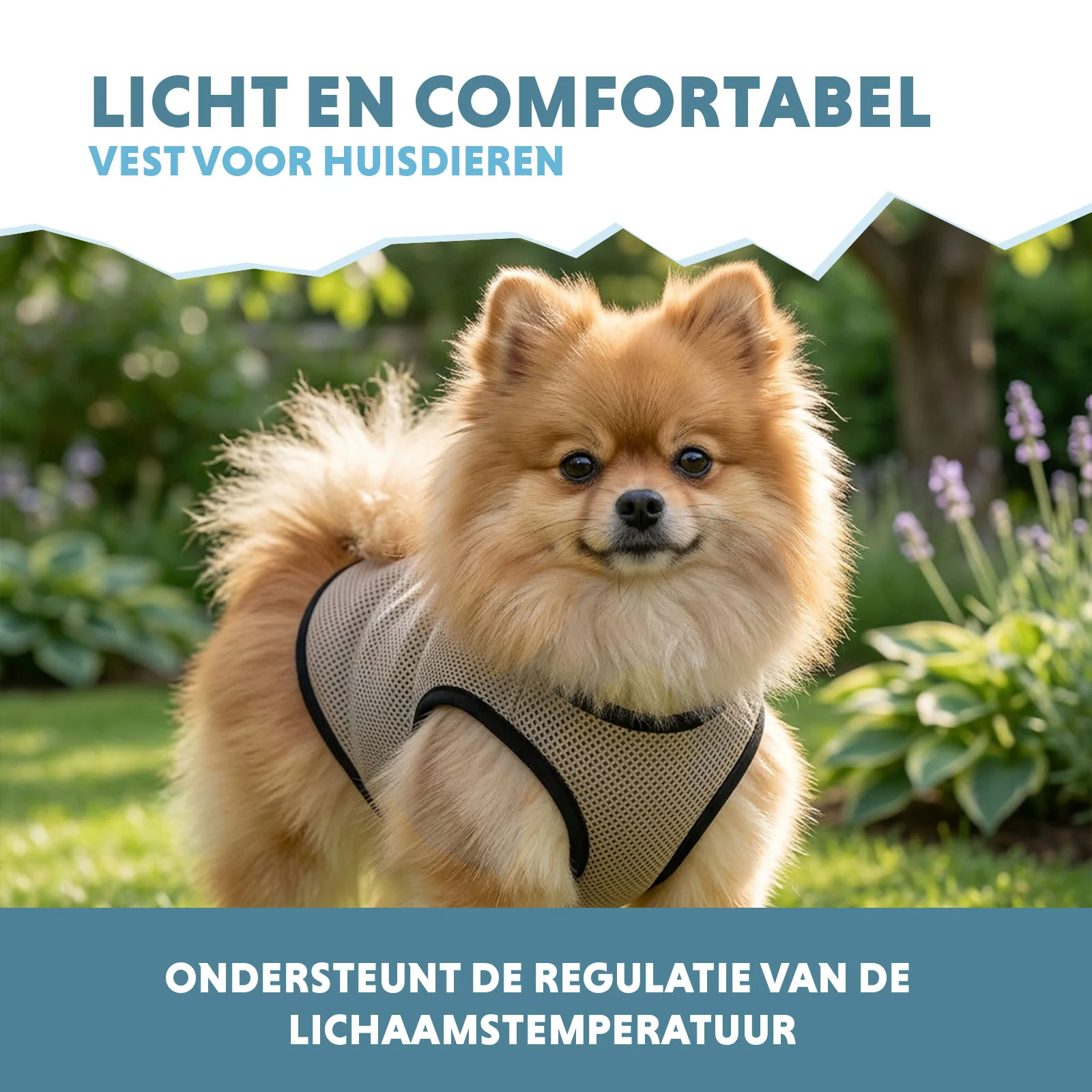 Giubbotto rinfrescante per cani, ad attivazione con acqua, XS, lunghezza del dorso 20 cm – Coolpets Cooling Vest - immagine 4