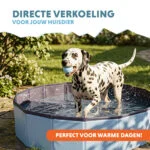 Piscina per cani pieghevole con fondo antiscivolo, ø 80 x 20 cm – Coolpets Splash Dog Pool - immagine 2
