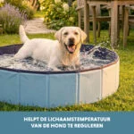 Piscina per cani pieghevole con fondo antiscivolo, ø 80 x 20 cm – Coolpets Splash Dog Pool - immagine 6