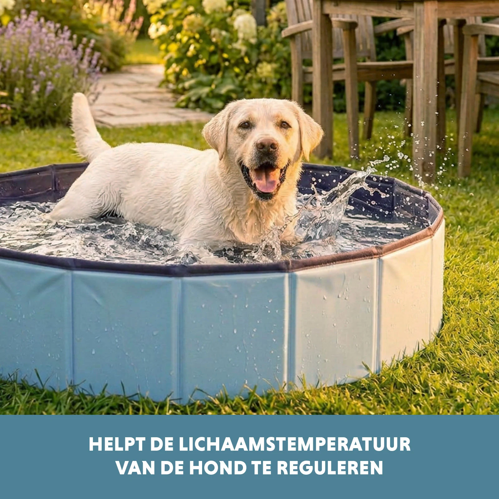Piscina per cani con fondo antiscivolo, pieghevole, ø 100 x 30 cm – Coolpets Splash Dog Pool - immagine 6