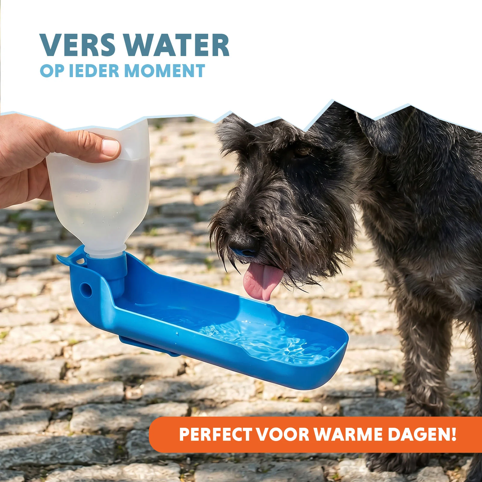 Borraccia per cani da portare con sé, 300 ml – Coolpets Fresh 2GO - immagine 2