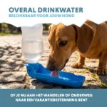 Borraccia per cani da portare con sé, 300 ml – Coolpets Fresh 2GO - immagine 4