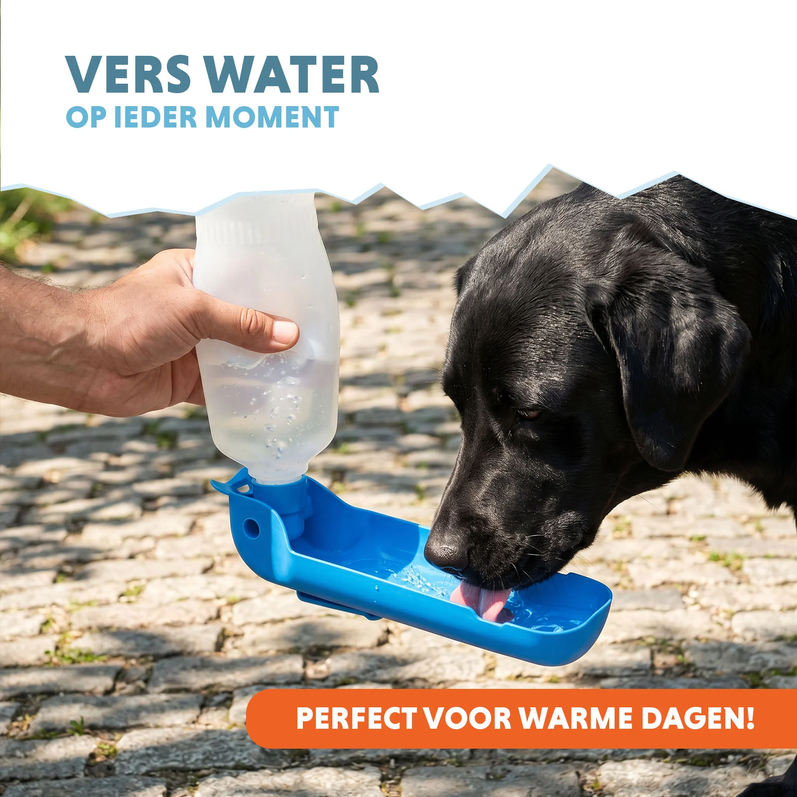 Borraccia per cani da viaggio, 500 ml – Coolpets Fresh 2GO - immagine 2