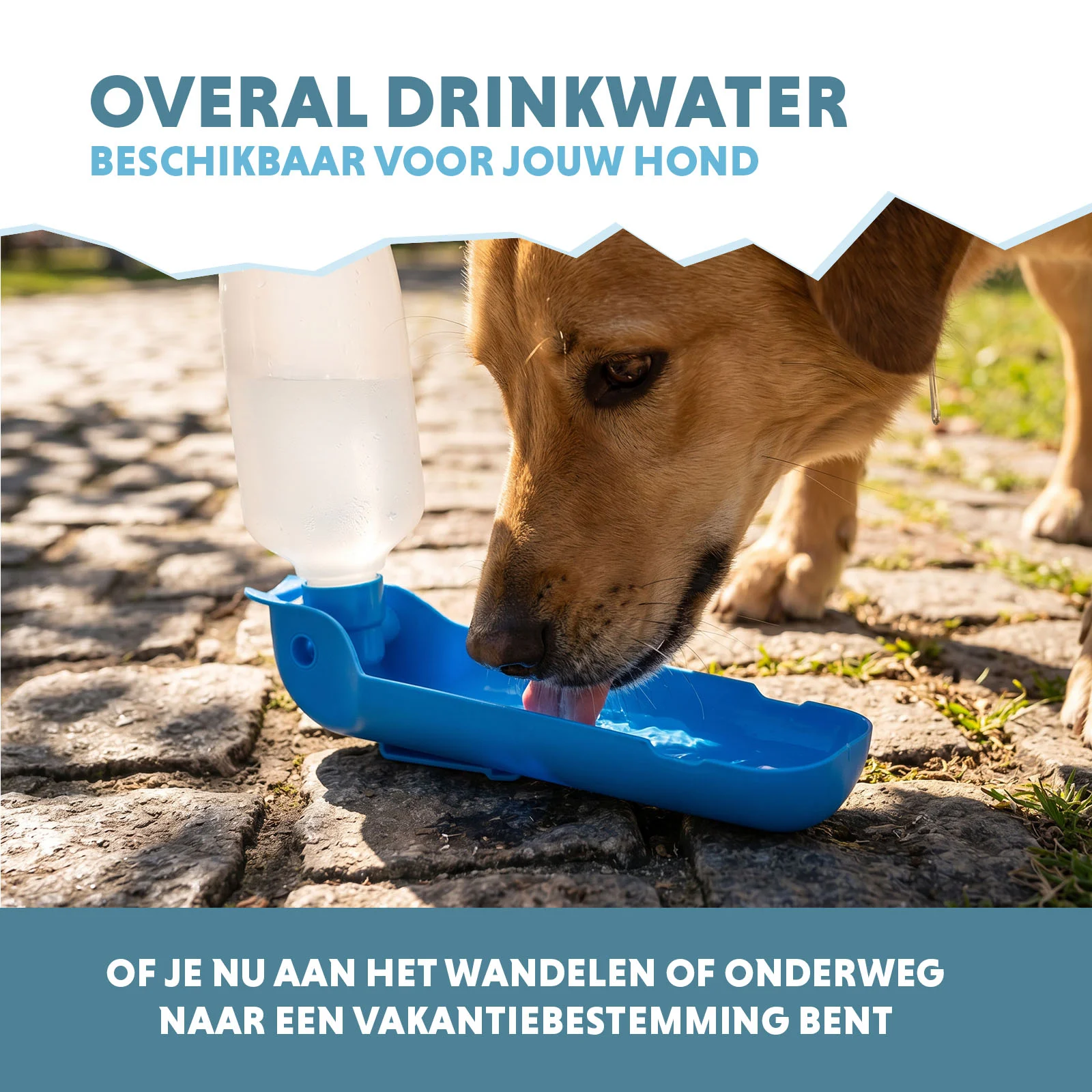 Borraccia per cani da viaggio, 500 ml – Coolpets Fresh 2GO - immagine 4