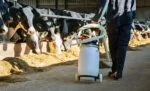 Carrello per Cow Drencher con supporti per serbatoio e tubo, pieghevole, 100 cm – Excellent Cow Drencher - immagine 2