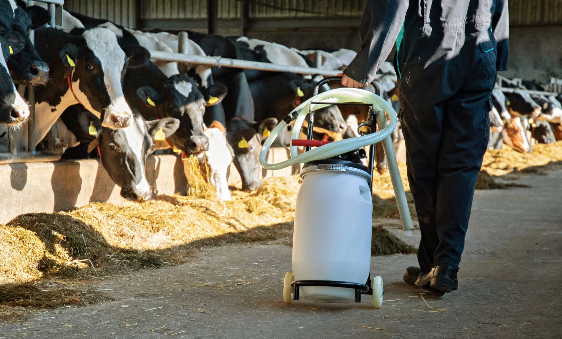 Carrello per Cow Drencher con supporti per serbatoio e tubo, pieghevole, 100 cm – Excellent Cow Drencher - immagine 2