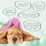 Peluche per cani Coniglio con battito cardiaco e sacchetto riscaldabile, Rosa, 30 x 20 cm – Cozy Dog Bunny - immagine 3