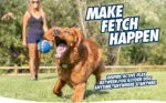 Palla per cani in gomma con squeaker, XL 9 cm, 1 pezzo – Chuckit! Ultra Squeaker Ball - immagine 6