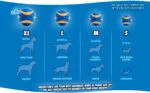 Palline per cani in gomma con squeaker S, ø 5 cm, 2 pezzi – Chuckit! Ultra Squeaker Ball - immagine 3