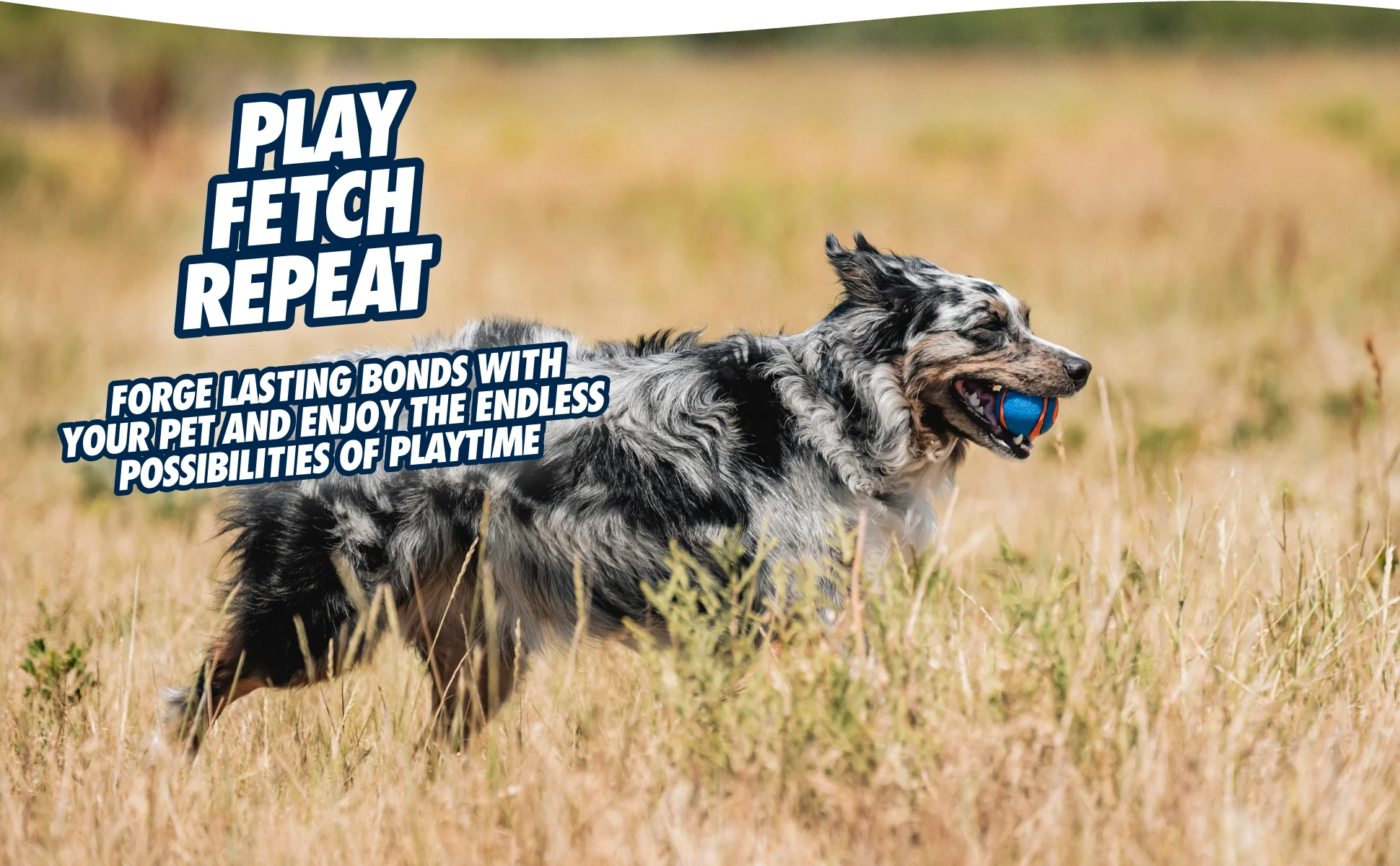 Palline per cani in gomma con squeaker S, ø 5 cm, 2 pezzi – Chuckit! Ultra Squeaker Ball - immagine 5