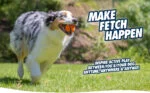 Pallina per cani in gomma naturale, rimbalzante, L 7 cm – Chuckit! Fetch Ball - immagine 3