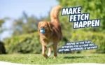 Palline da riporto per cani, 3 pezzi, Ø 6 cm – Chuckit! Fetch Medley Gen 3 - immagine 3