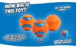 Pallina per cani in gomma, Ø 6 cm, 2 pezzi – Chuckit! Fetch Ball M - immagine 4