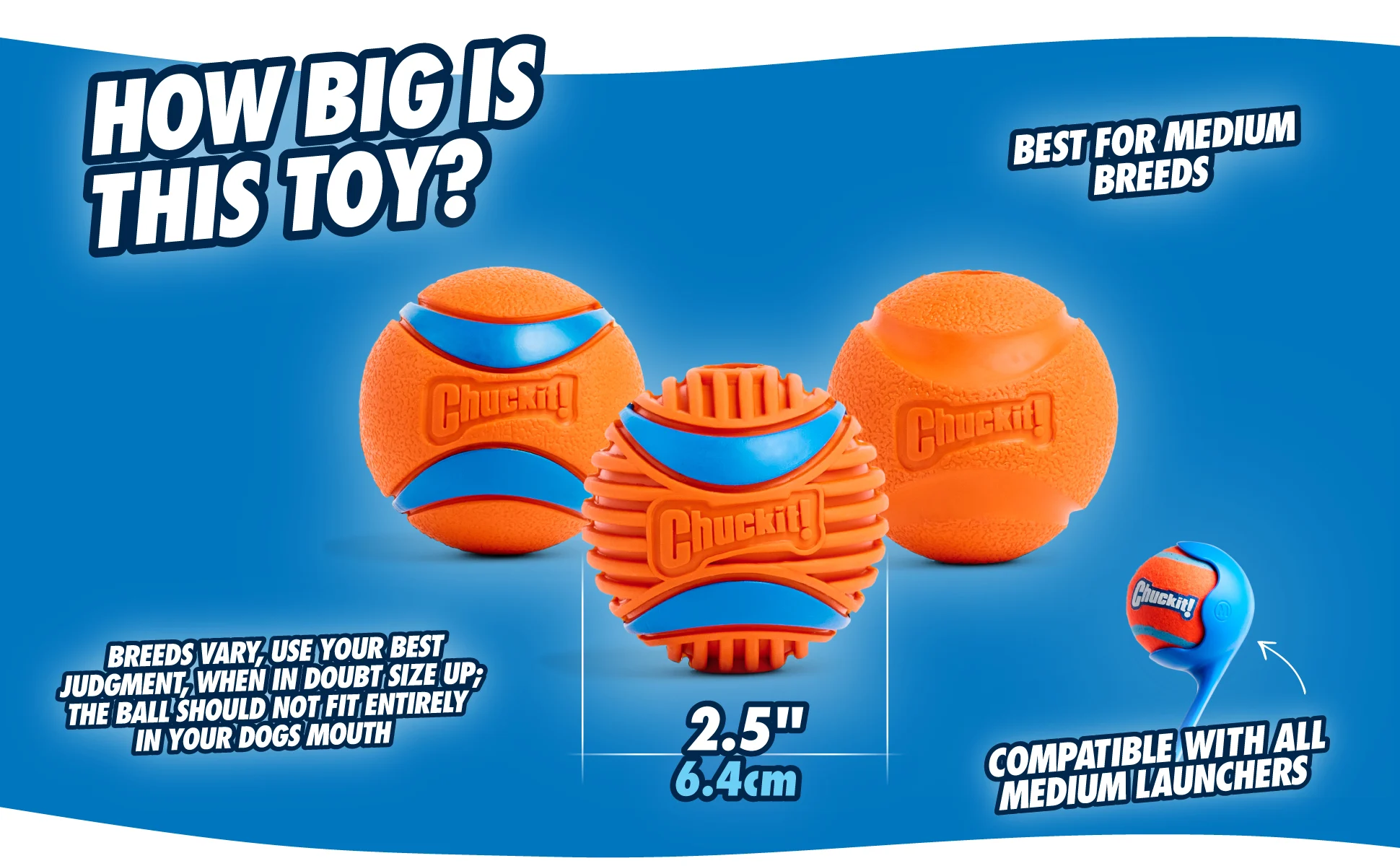 Pallina per cani in gomma, Ø 6 cm, 2 pezzi – Chuckit! Fetch Ball M - immagine 4
