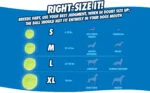 Palle per cani con luce e suono, 3 pezzi, Ø 5 cm – Chuckit! Fetch Medley S - immagine 3