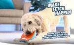 Gioco scorrevole per cani con squeaker, 18 x 14 cm – Chuckit! Indoor Super Slider - immagine 4
