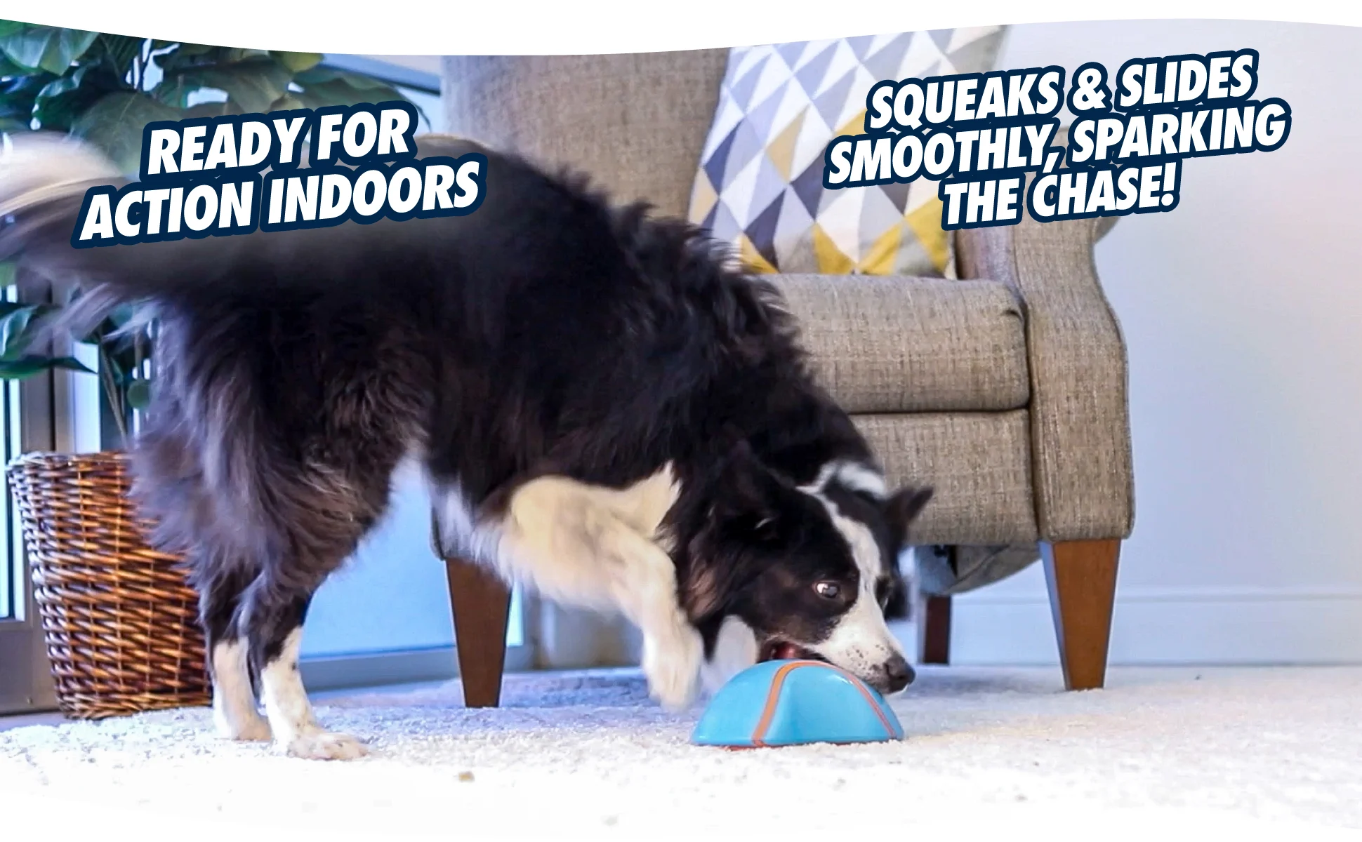 Gioco scorrevole per cani con squeaker, 18 x 14 cm – Chuckit! Indoor Super Slider - immagine 6