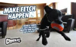 Gioco da interno per cani con anello, 11,5 x 13 x 20 cm – Chuckit! Indoor Shaker - immagine 4