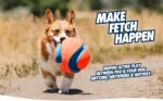 Palla da calcio per cani con scanalature in gomma, Ø 14 cm – Chuckit! Kick Fetch Dog S - immagine 6