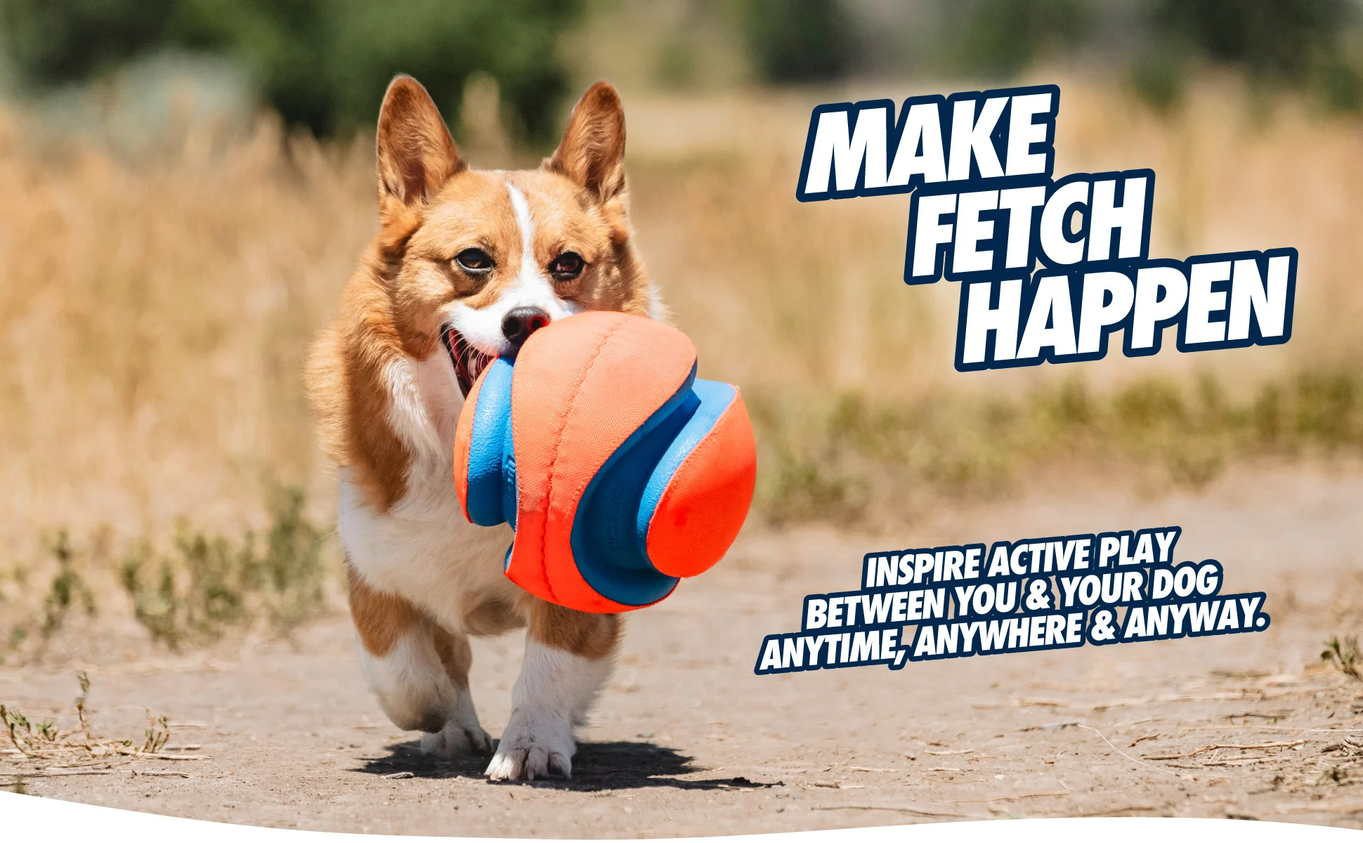 Palla da calcio per cani con scanalature in gomma, Ø 14 cm – Chuckit! Kick Fetch Dog S - immagine 6
