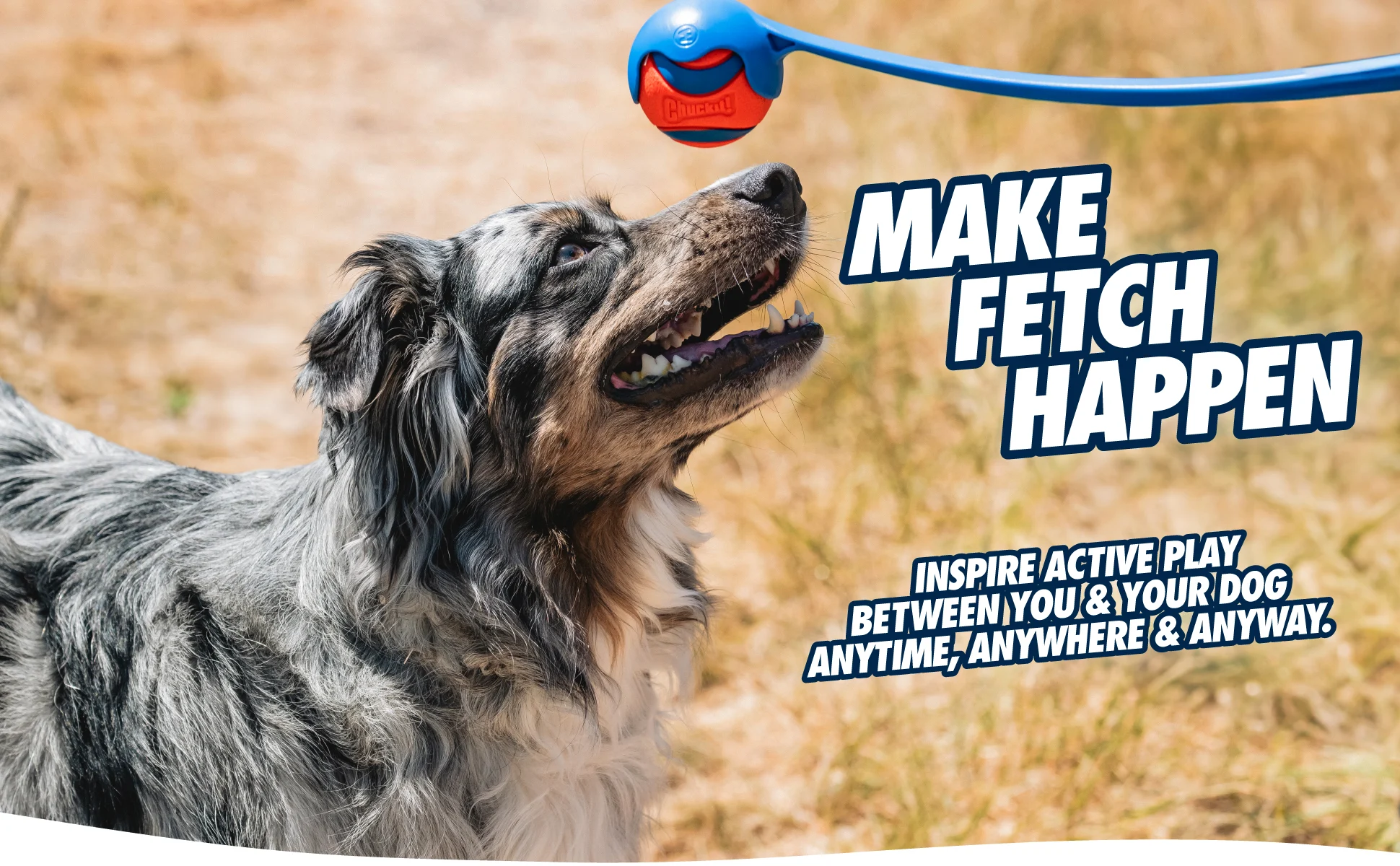 Lanciapalline per cani M con pallina da tennis, 45 cm – Chuckit! Sport Launcher - immagine 6