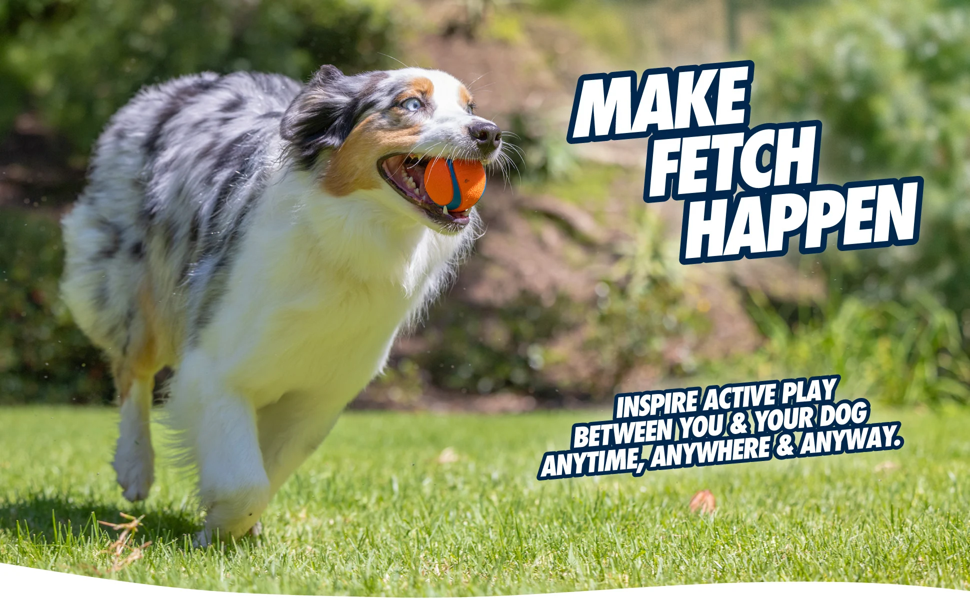 Palline per cani in gomma con squeaker S, ø 5 cm, 2 pezzi – Chuckit! Ultra Squeaker Ball - immagine 6