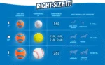 Palla per cani in gomma L, ø 7 cm, galleggiante – Chuckit! Ultra Ball - immagine 5