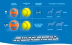 Pallina per cani in gomma con squeaker S, ø 5 cm, 1 pezzo – Chuckit! Ultra Squeaker Ball - immagine 4