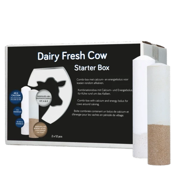 Kit di boli per vacche da latte con calcio ed energia, 2 x 12 pezzi – Hofman Animal Care Dairy Fresh Cow Starter Box