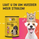 Polvere per l’igiene dentale per cani e gatti, 140 g – Excellent Pets Dental Oral Care - immagine 4